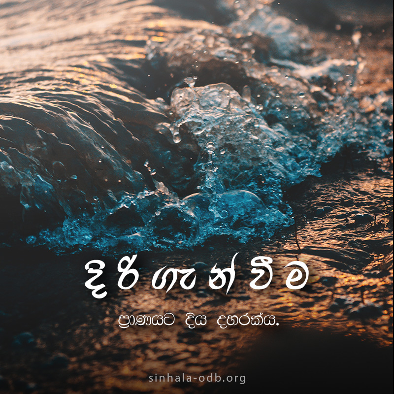 Share ODB 2018-11-14 Share ODB 2018-11-14