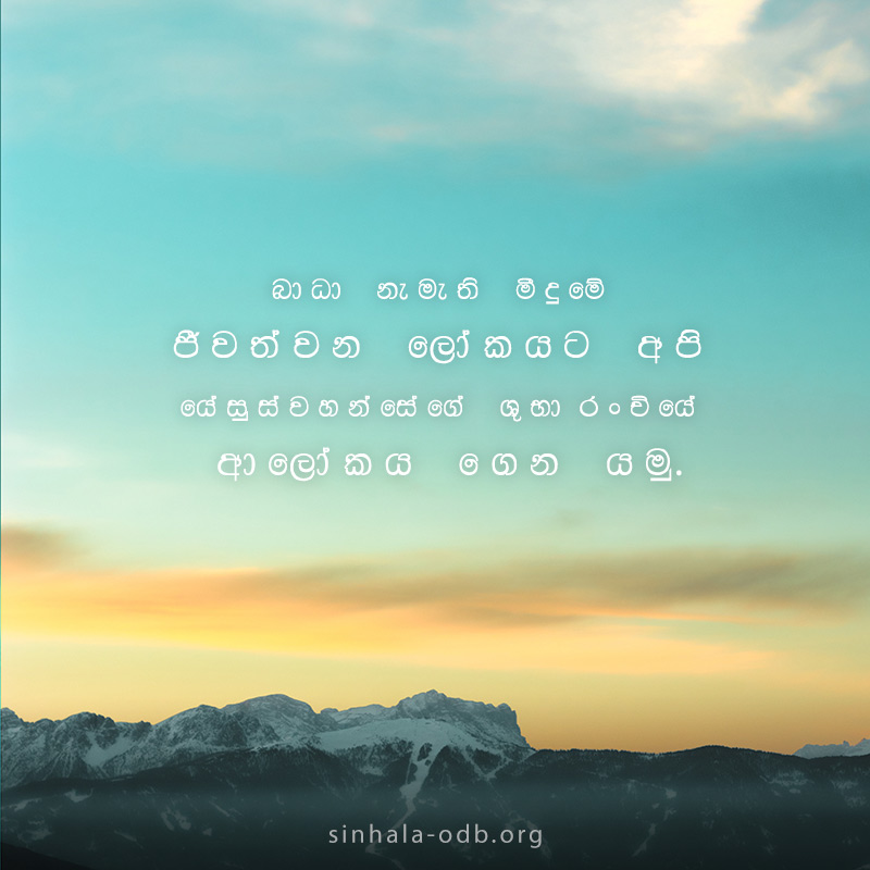 Share ODB 2018-11-15 Share ODB 2018-11-15