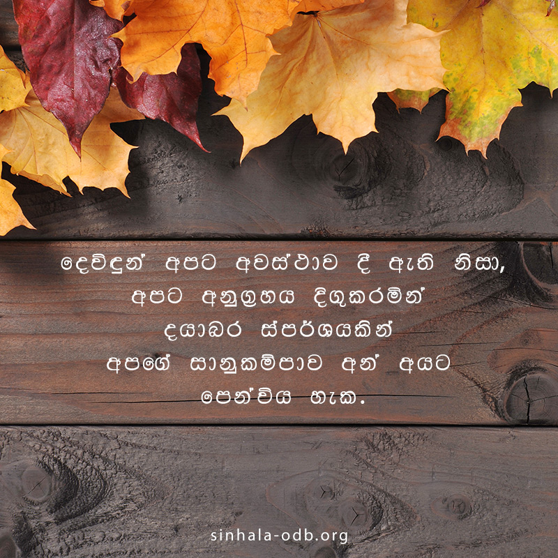 Share ODB 2018-11-17 Share ODB 2018-11-17