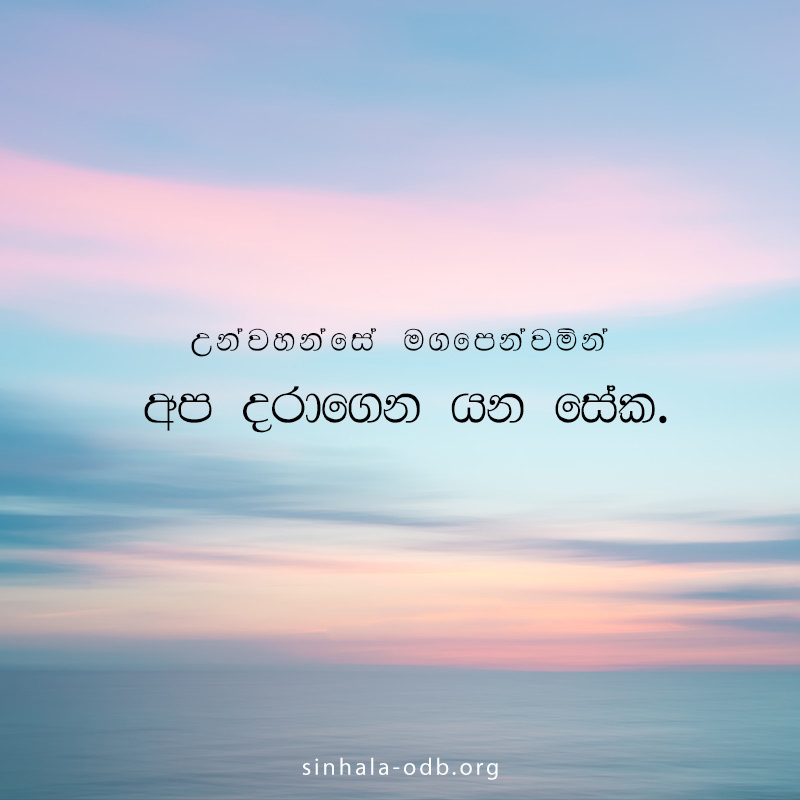 Share ODB 2018-11-18 Share ODB 2018-11-18