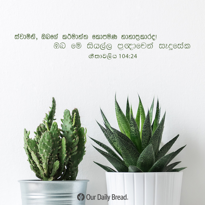 Share ODB 2019-02-24 Share ODB 2019-02-24