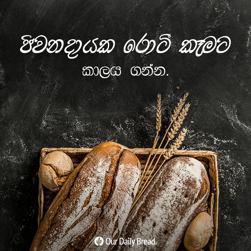 Share ODB 2019-02-25 Share ODB 2019-02-25