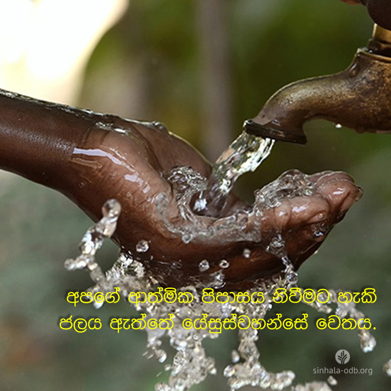 Share ODB 2017-11-01