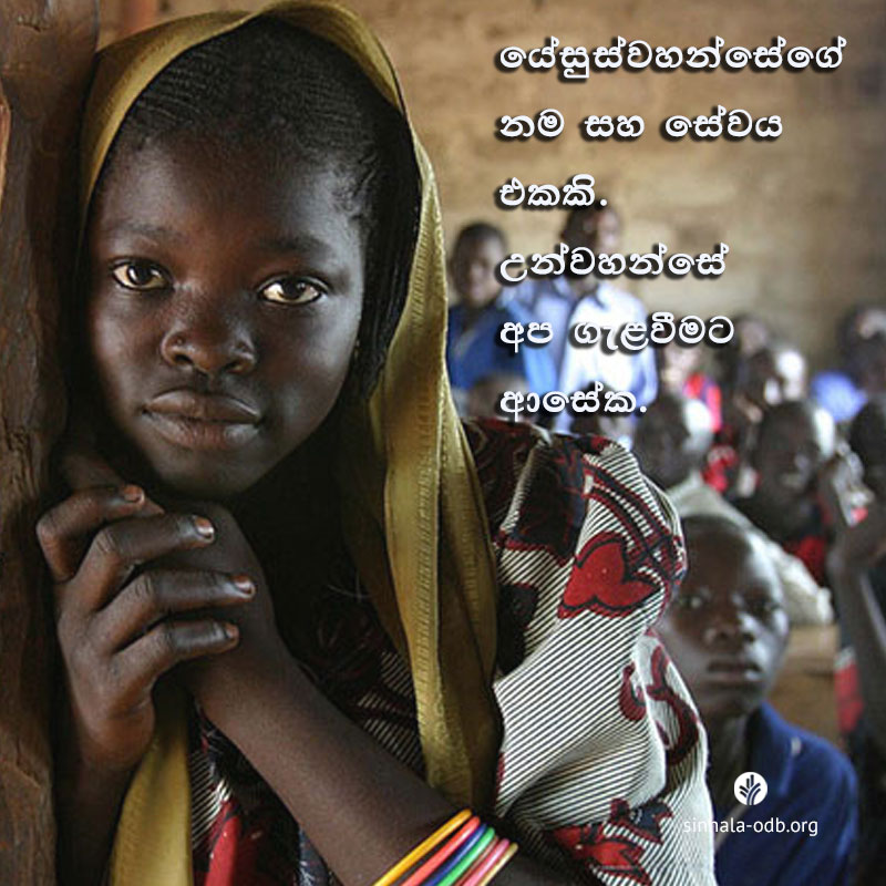 Share ODB 2017-12-01