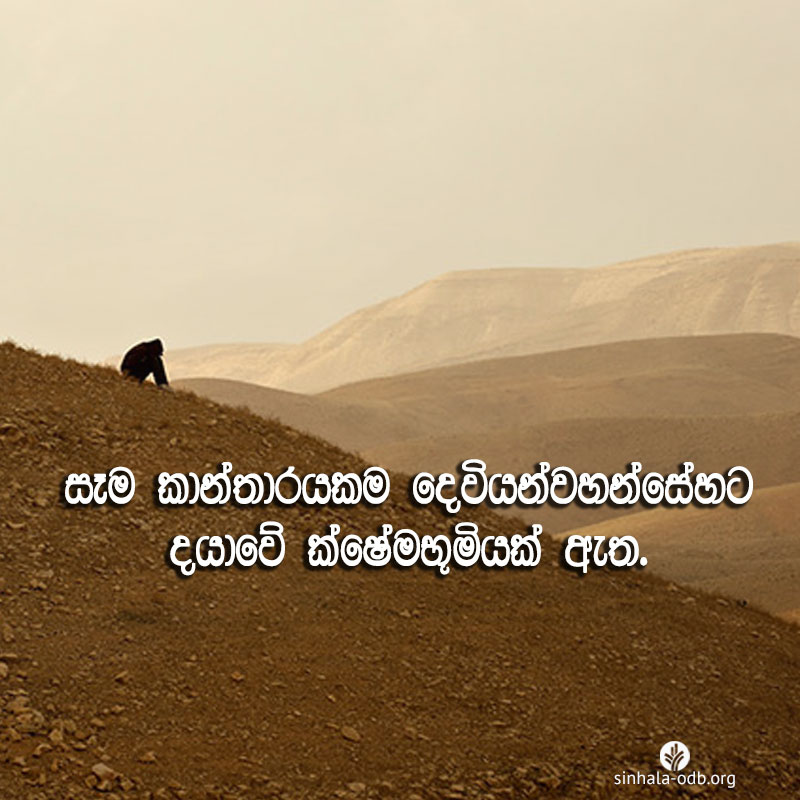 Share ODB 2017-07-11