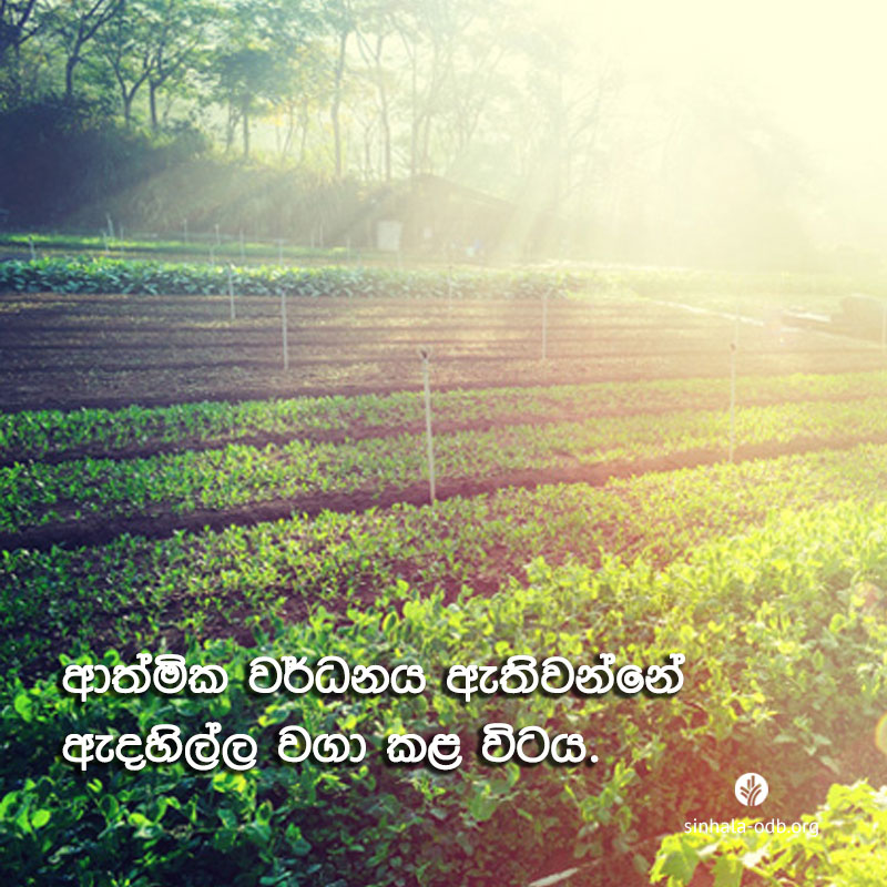 Share ODB 2017-09-11