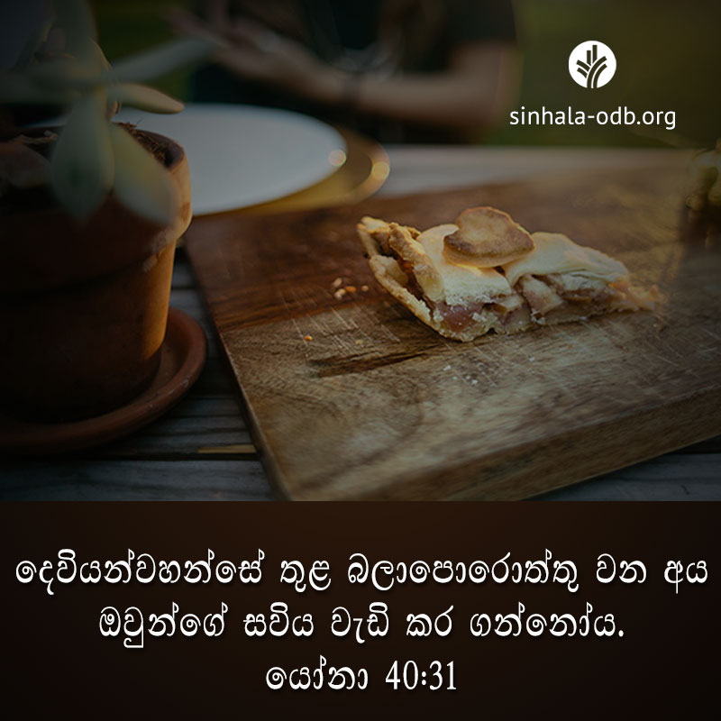 Share ODB 2017-11-11