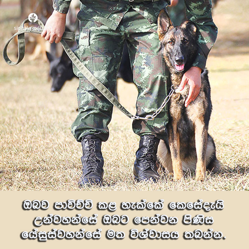 Share ODB 2017-12-11