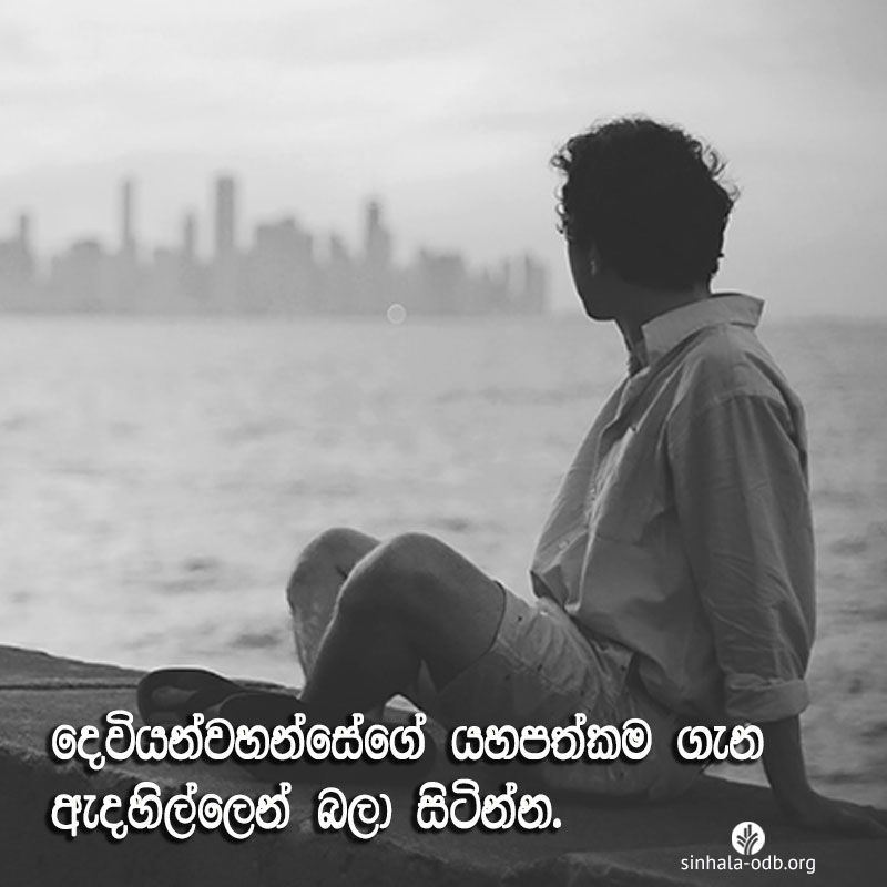 Share ODB 2017-07-12