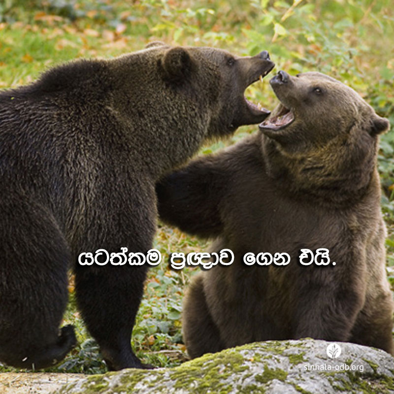 Share ODB 2017-09-12