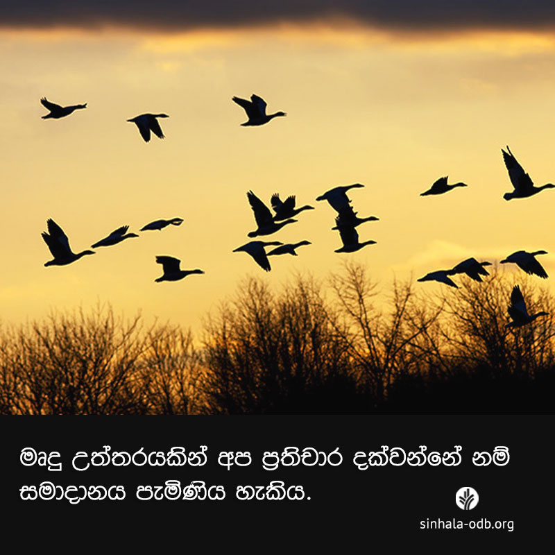 Share ODB 2017-11-12