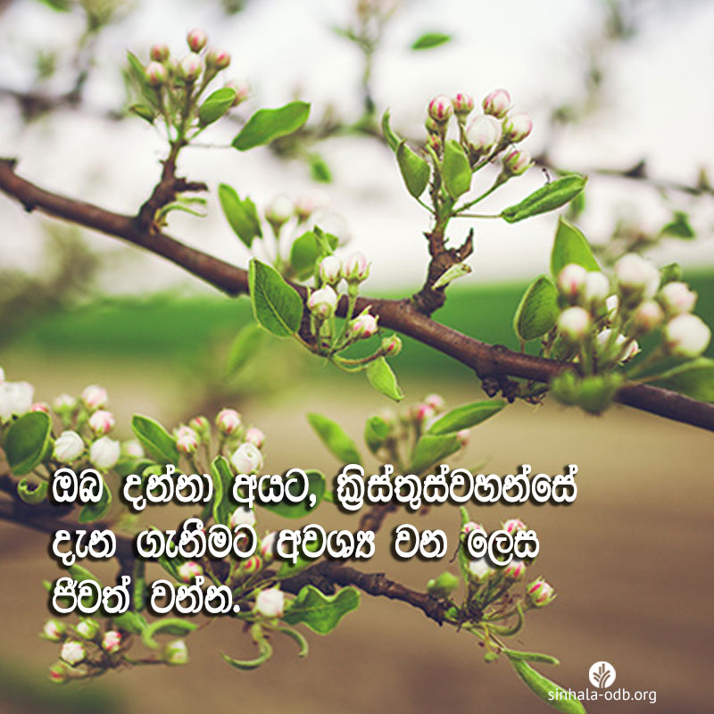 Share ODB 2017-07-13