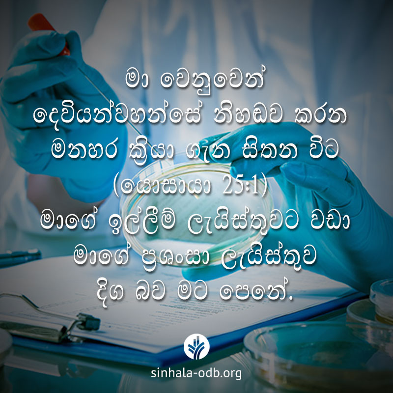 Share ODB 2017-08-16