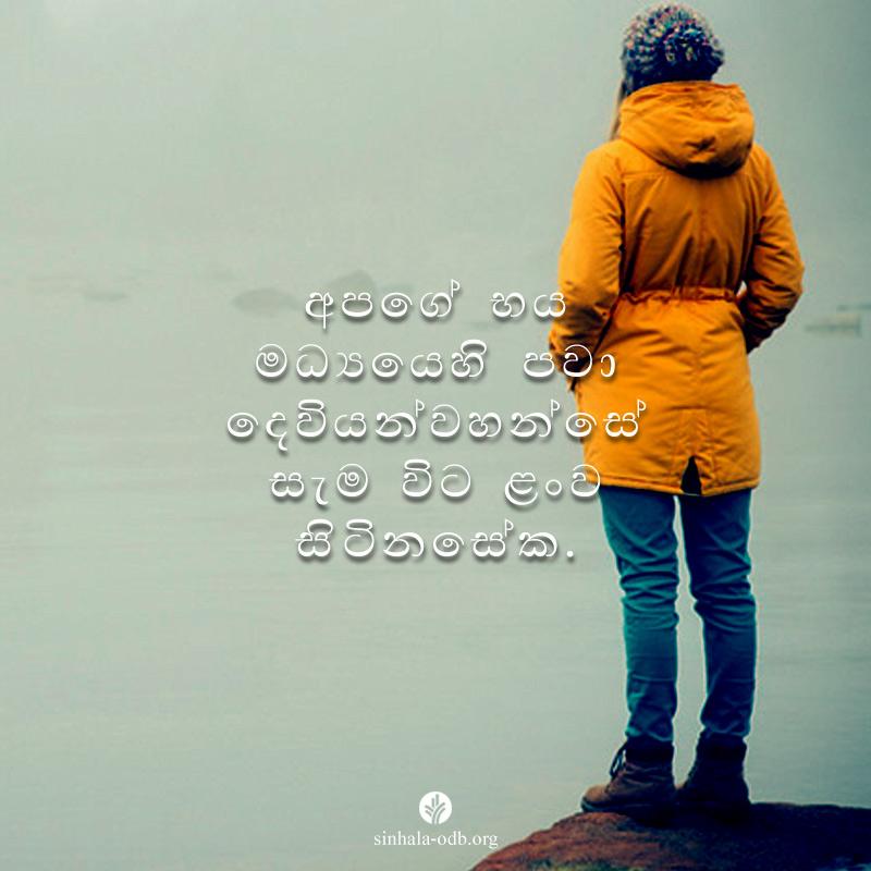 Share ODB 2017-09-16