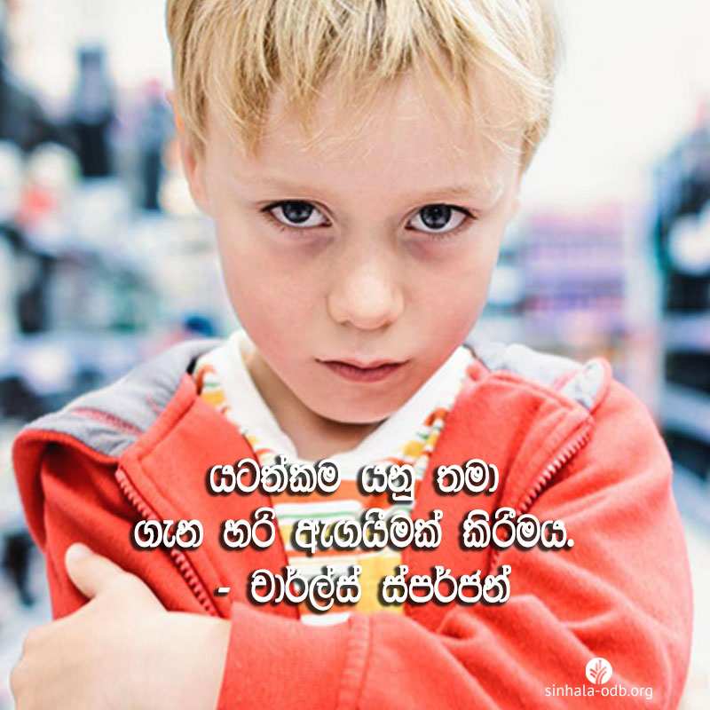 Share ODB 2017-07-18