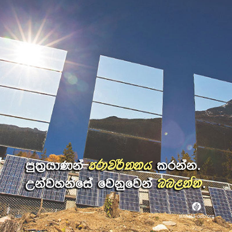 Share ODB 2017-11-18