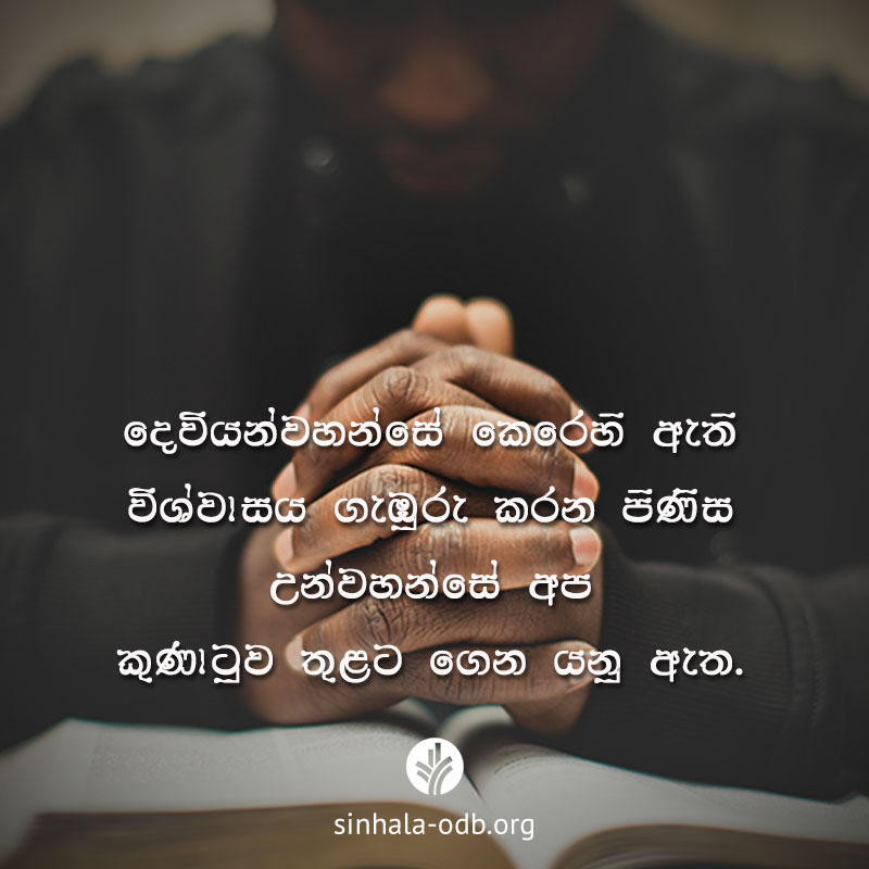 Share ODB 2017-08-02