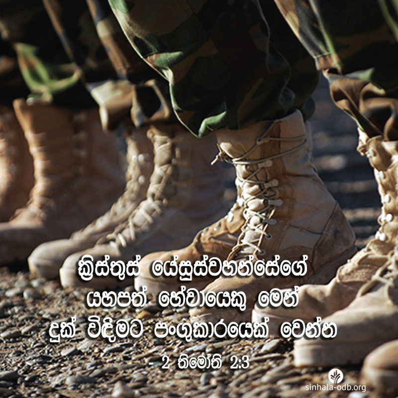 Share ODB 2017-07-20