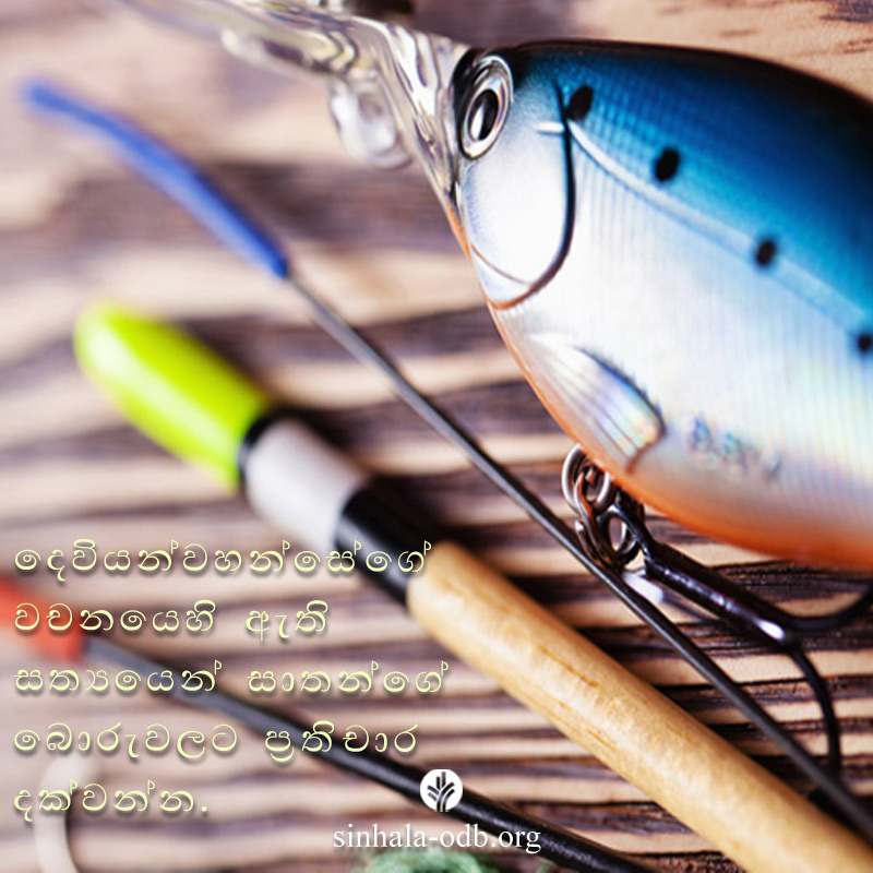 Share ODB 2017-09-22