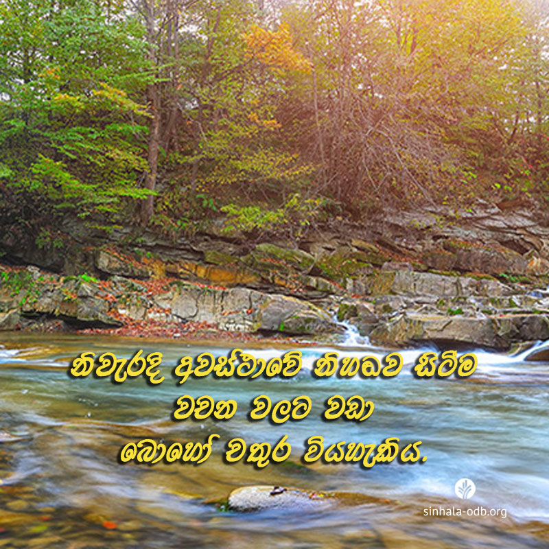 Share ODB 2017-11-23