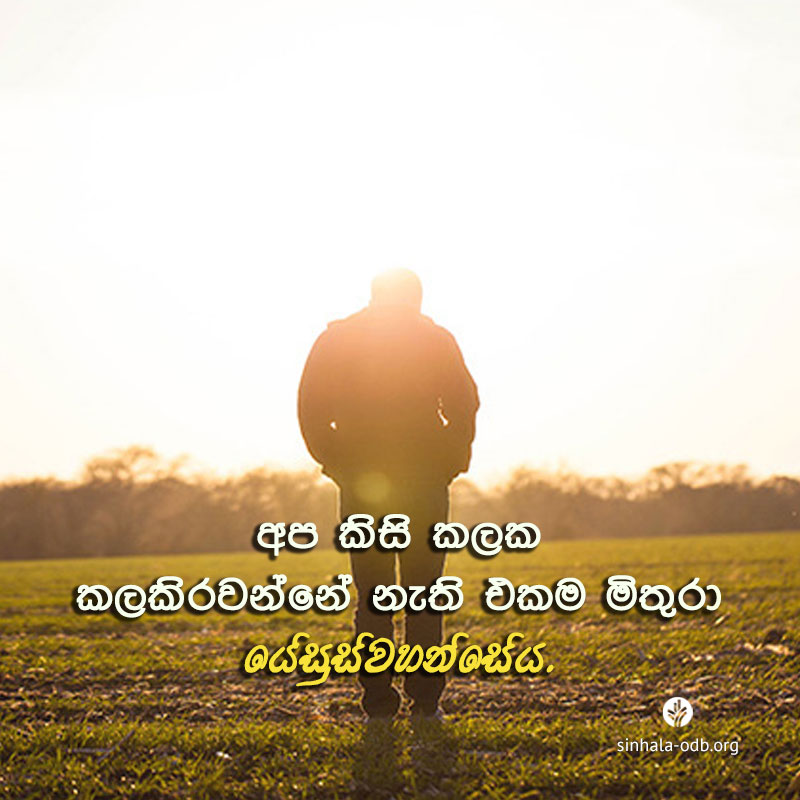 Share ODB 2017-11-24