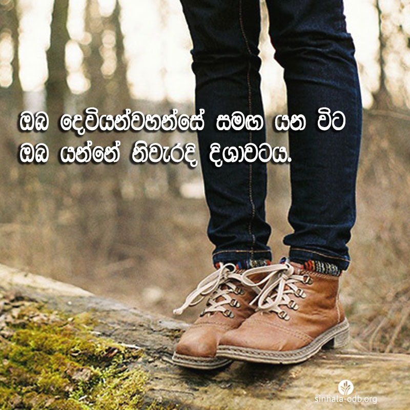 Share ODB 2017-07-25