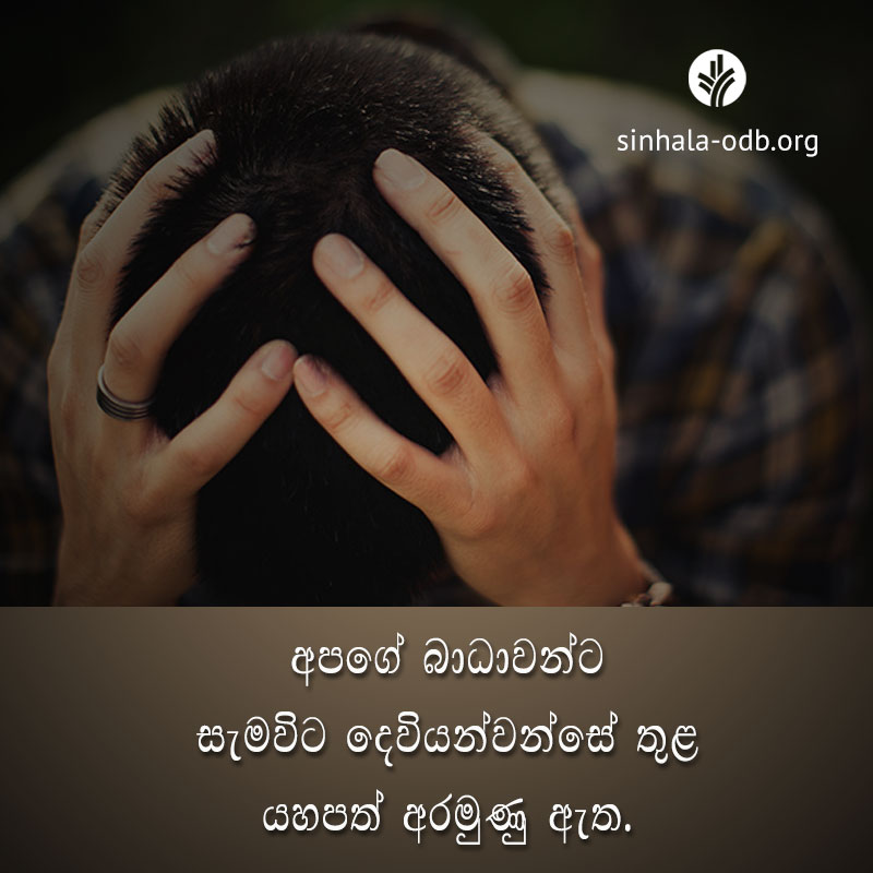 Share ODB 2017-08-25