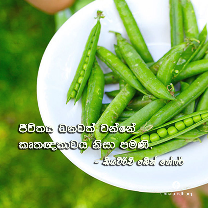 Share ODB 2017-11-26