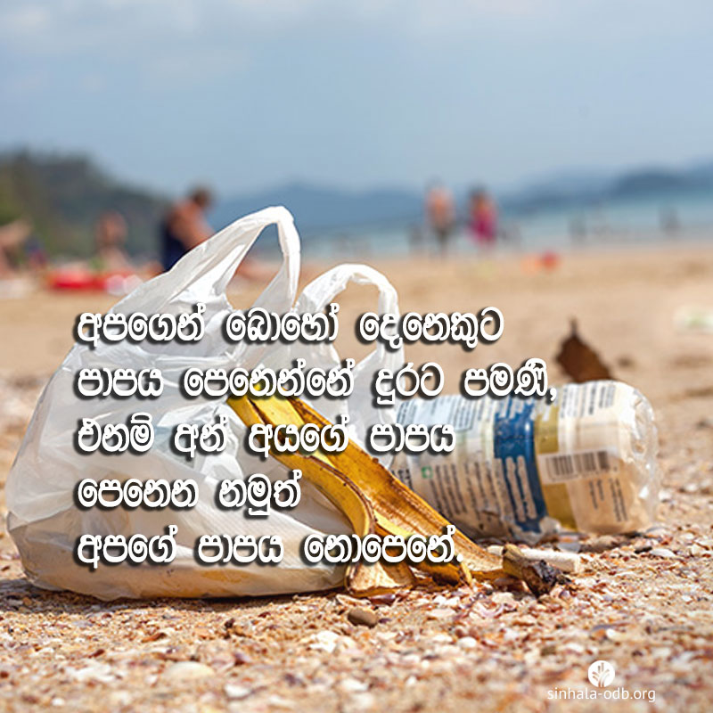 Share ODB 2017-07-29