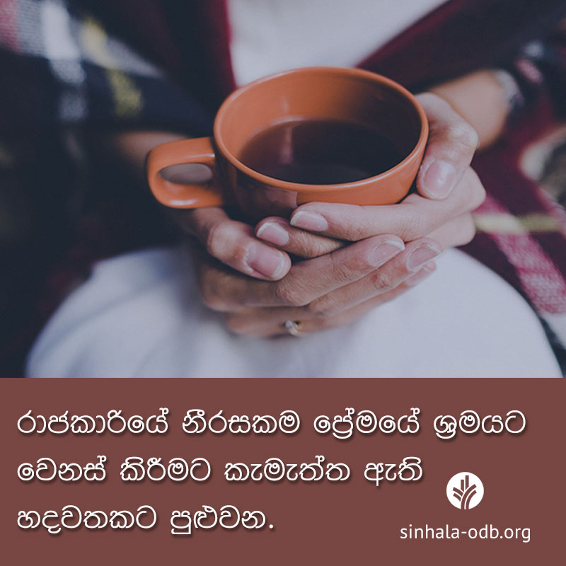 Share ODB 2017-11-03