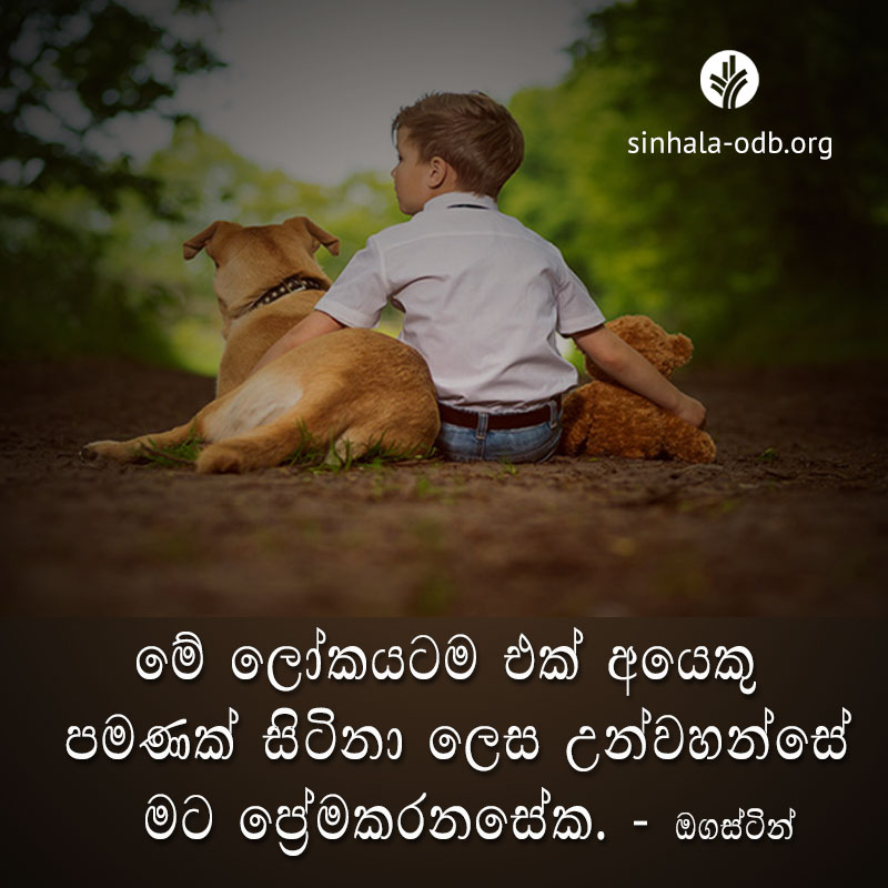 Share ODB 2017-11-04