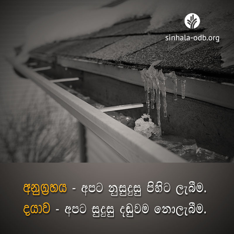 Share ODB 2017-11-05