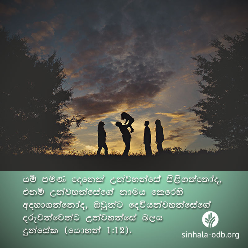 Share ODB 2017-08-06