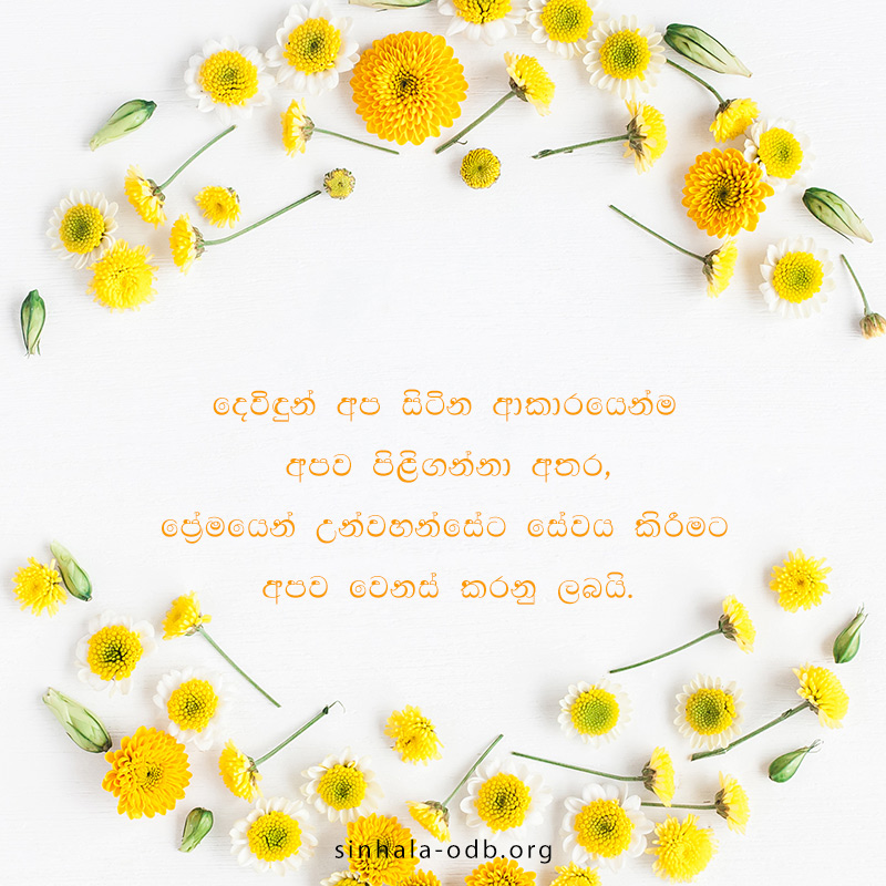 Share ODB 2018-10-21