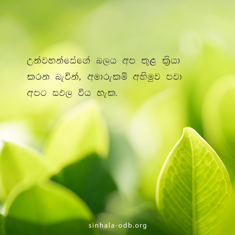 Share ODB 2018-10-22