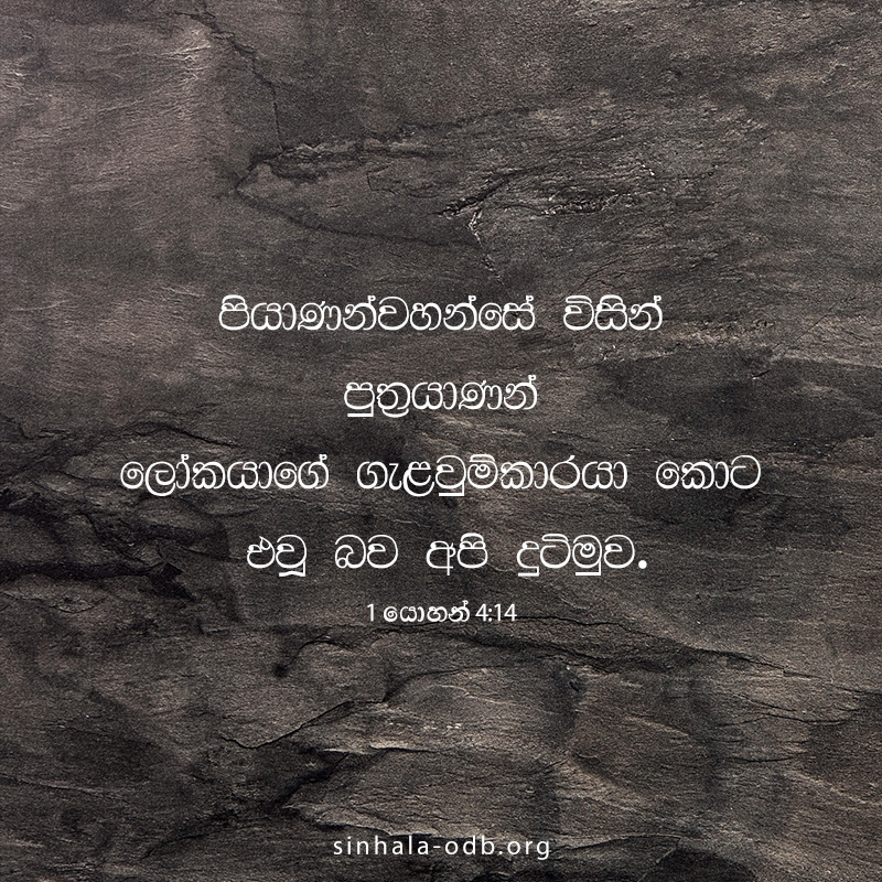 Share ODB 2018-10-26