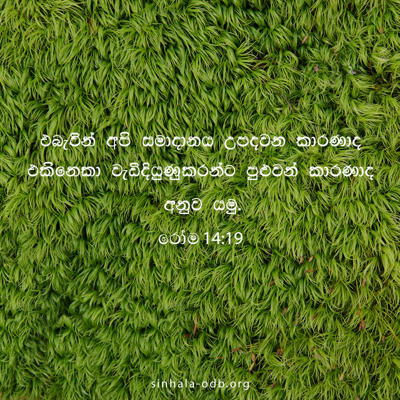 Share ODB 2018-10-30