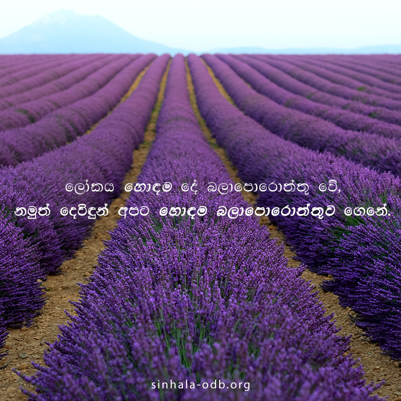 Share ODB 2018-10-31