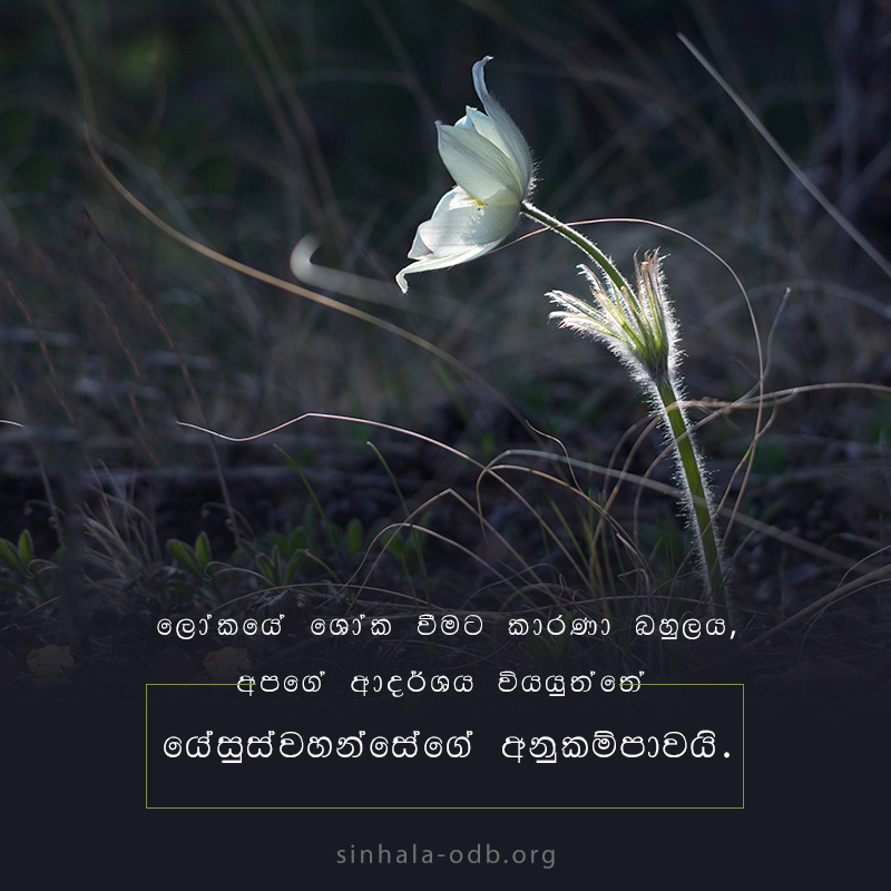 Share ODB 2018-11-01