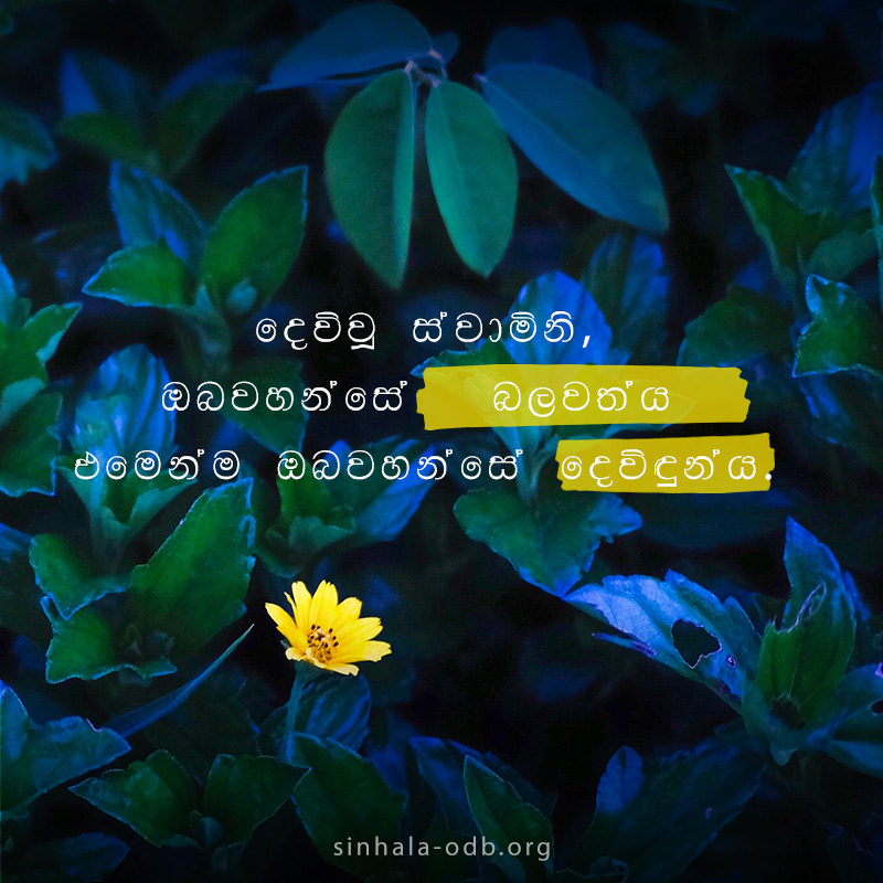 Share ODB 2018-11-02