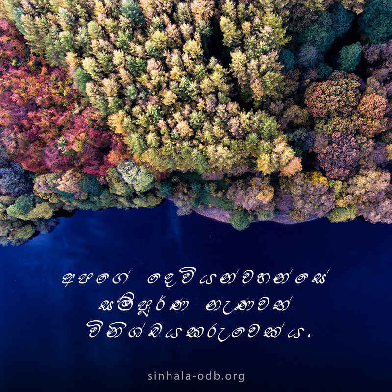 Share ODB 2018-11-05