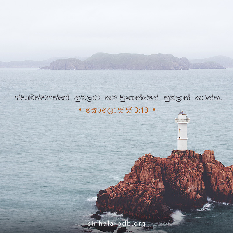 Share ODB 2018-11-07