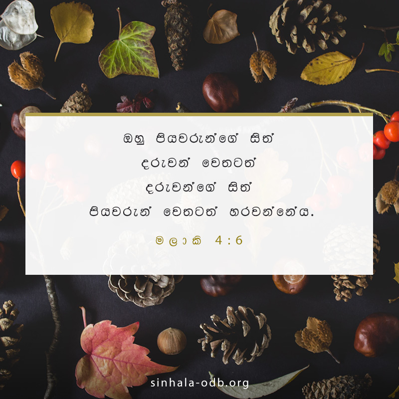 Share ODB 2018-11-08