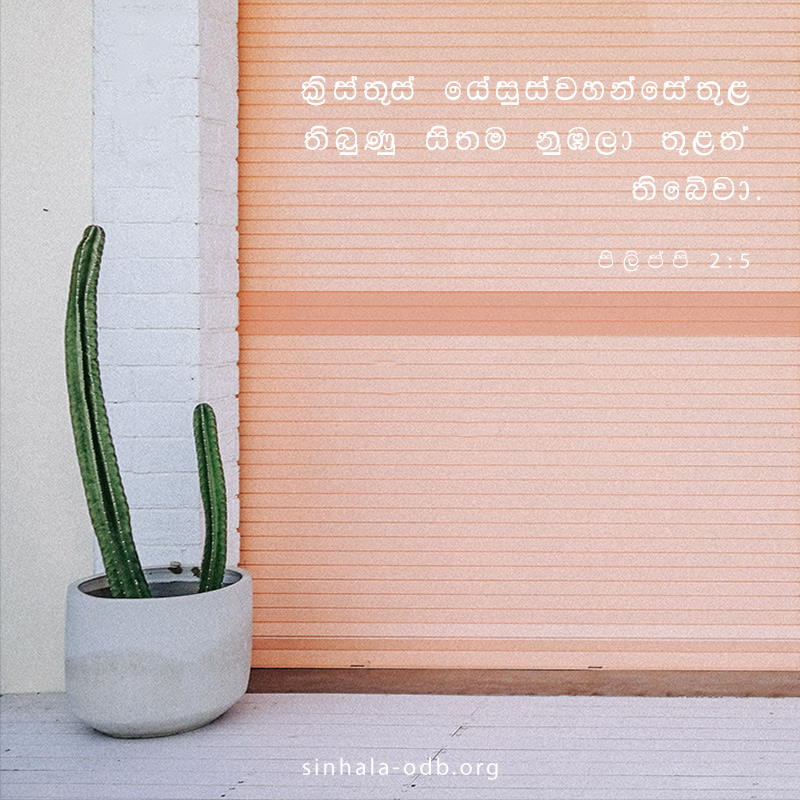 Share ODB 2018-11-09