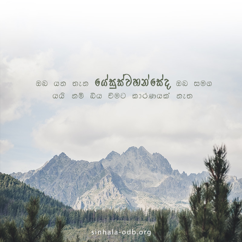 Share ODB 2018-11-10