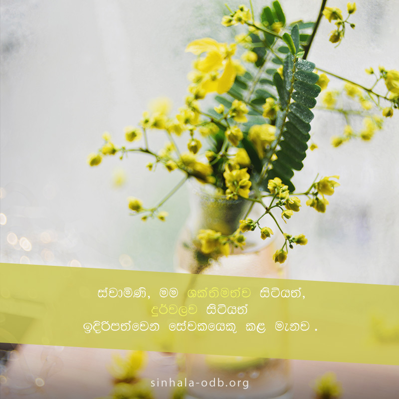 Share ODB 2018-11-11