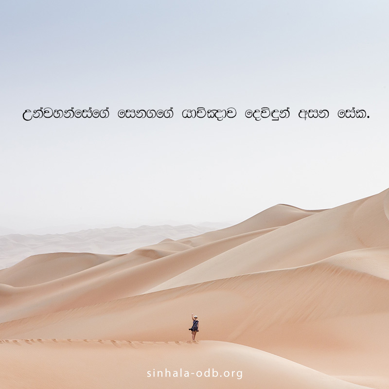 Share ODB 2018-11-21