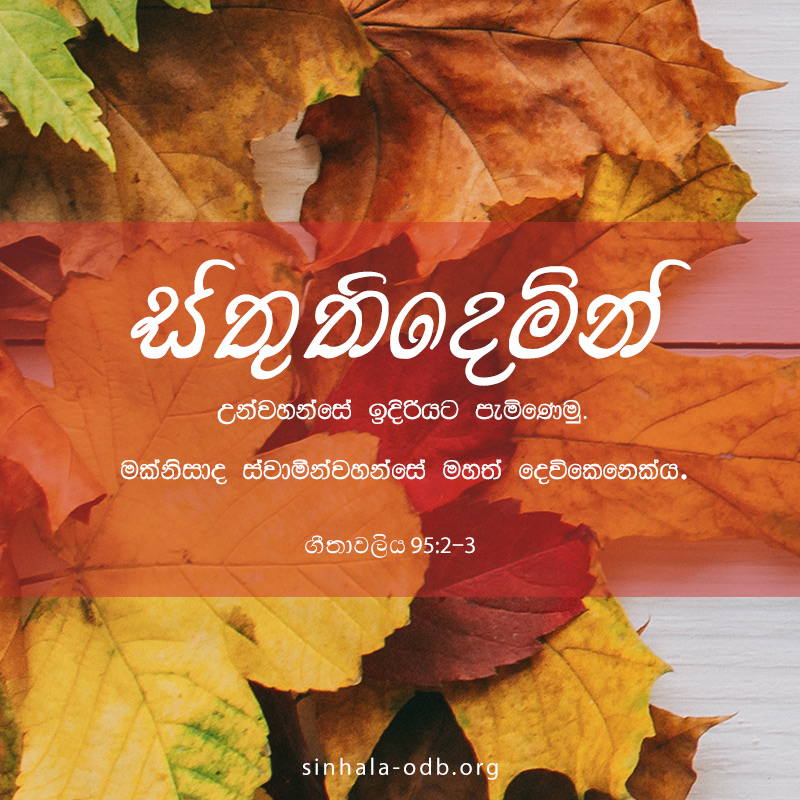 Share ODB 2018-11-22