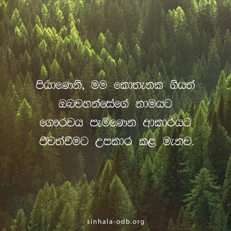 Share ODB 2018-11-25