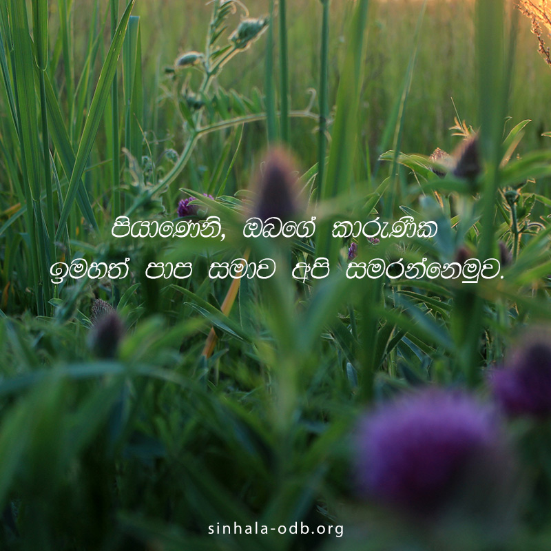 Share ODB 2018-11-27